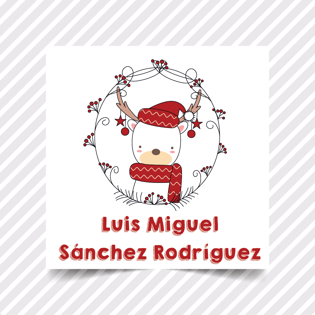 Etiquetas Regalo Navidad 10 - 36 pzas