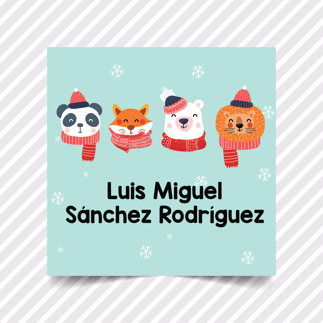 Etiquetas Regalo Navidad 26 - 36 pzas