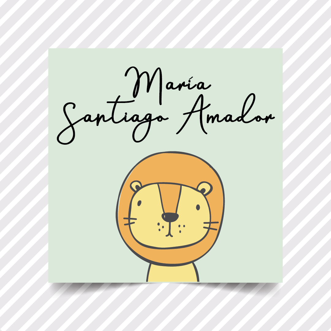 Etiquetas Regalo Niños 79 - 36 pzas